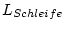 $\displaystyle L_{Schleife}$
