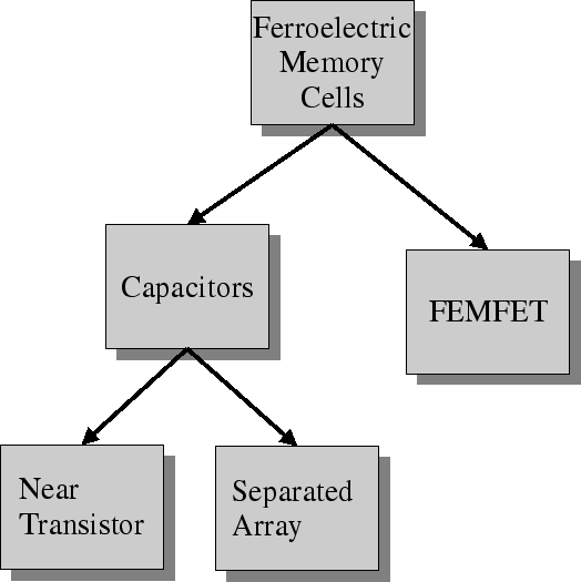 \resizebox{\fulllength}{!}
{
\includegraphics[width=\fulllength]{pics/ferro_memory.eps}
}