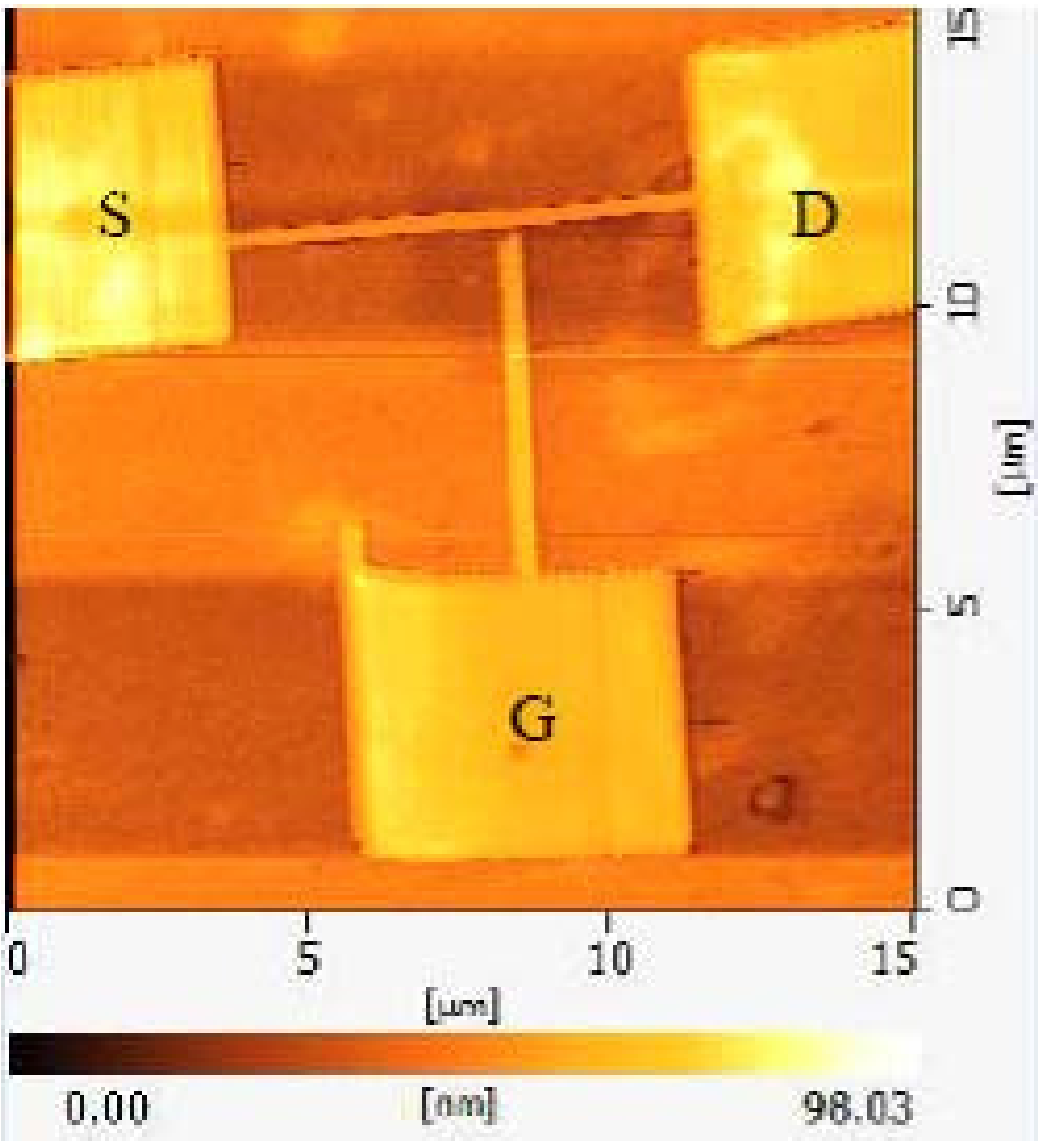 \includegraphics[width=0.65\linewidth]{chapter_applications/figures/AFM_transistor.eps}