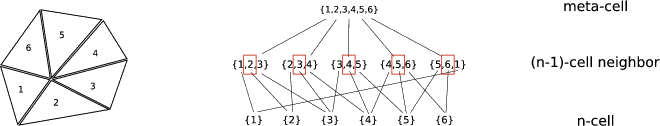 \begin{figure}\begin{center}
\epsfig{figure=figures/complextopology_simplex.eps, width=14.5cm}
\end{center}
\end{figure}
