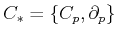 $ C_{*} = \{C_p, \partial_p\}$