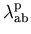 $\lambda_{\mathrm{ab}}^{\mathrm{p}}$