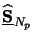 $ \underline{\mathbf{\widehat{S}}}_{N_p}^{}$