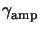 $ \gamma_{\mathrm{amp}}^{}$