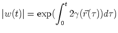 $\displaystyle \vert w(t)\vert = \exp({\int_0^t 2 \gamma(\vec{r}(\tau))d\tau})$