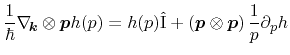 $\displaystyle \ensuremath{\frac{1}{\hbar} \ensuremath{\ensuremath{\mathitbf{\na...
...times}\ensuremath{\mathitbf{p}} \right) \frac{1}{p} \ensuremath{\partial_{p} h}$