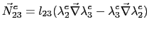 $\displaystyle \vec{N}^e_{23} = l_{23}(\lambda^e_2\vec{\nabla}\lambda^e_3 - \lambda^e_3\vec{\nabla}\lambda^e_2)$