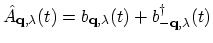 $ \hat{A}_{{\bf q},\lambda}(t)=b_{{\bf q},\lambda}(t)+b^\dagger_{{\bf -q},\lambda}(t)$