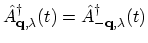 $ \hat{A}^\dagger_{{\bf q},\lambda}(t)=\hat{A}^\dagger_{{-\bf q},\lambda}(t)$