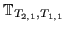 $ {\mathbb{T}}_{T_{2,1},T_{1,1}}$