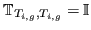 $ {\mathbb{T}}_{T_{i,g}, T_{i,g}} = {\mathbb{I}}$