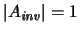 $\left\vert\ensuremath{A_{\mathit{inv}}}\xspace \right\vert = 1$