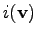 $ i(\mathbf{v})$