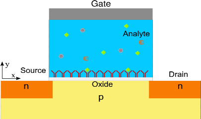 \includegraphics[width=0.6\textwidth]{figures/BioFET5.ps}