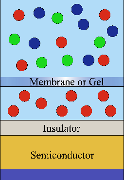 \includegraphics[width=0.4\textwidth]{figures/isfet_membrane.ps}