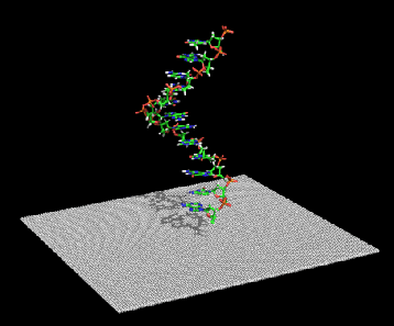 \includegraphics[width=0.5 \textwidth]{figures/ssdna.eps}